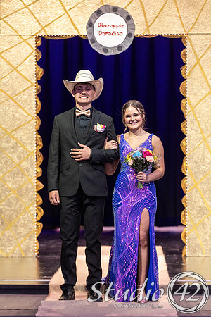 Prom-1007
