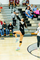 2025-10-11 Seymour vs Wayne