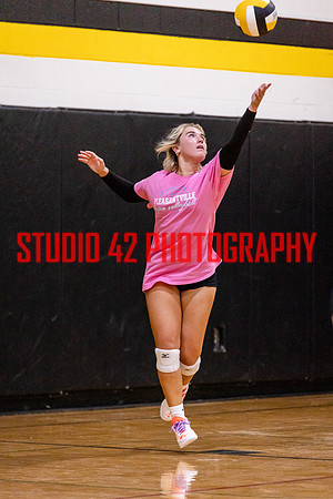 pville-vb-082424-1008