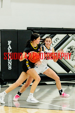 gbb-20260119-1129