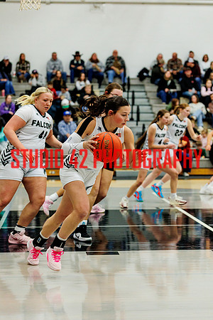 gbb-20260119-1202