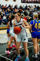 gbb-20260203-1004