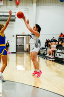 gbb-20260203-1017