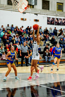 gbb-20260203-1020