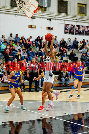 gbb-20260203-1020