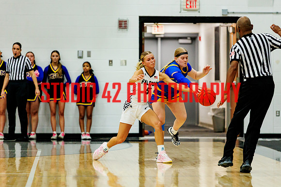 gbb-20260203-1031