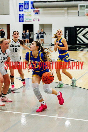 gbb-20260203-1101
