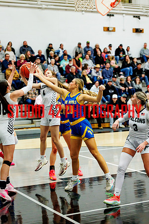 gbb-20260203-1125