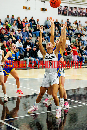 gbb-20260203-1130