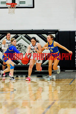 gbb-20260203-1173