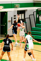 gbb-20260212-1019