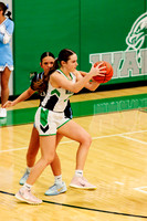 gbb-20260212-1013