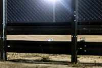 badger-100524-1007