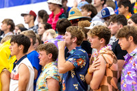 Volleyball Fans 2023