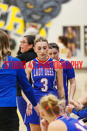 gbb-20250207-1088