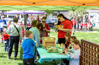 IMG-1020