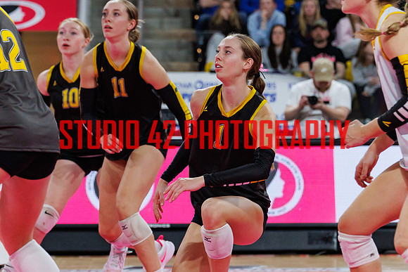 vb-110724-1362