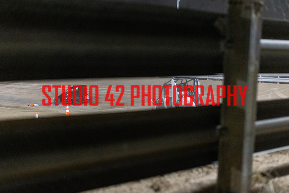 badger-100524-1035