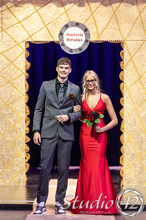 Prom-1008