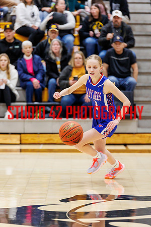 gbb-20250207-1016