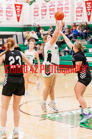 gbb-20250107-1185