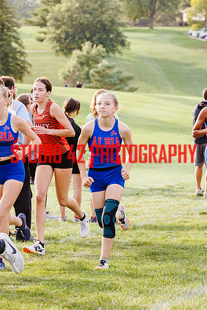 xc-100124-1017