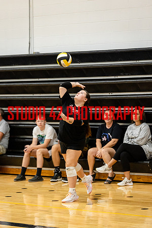 alb-vb-082424-1008